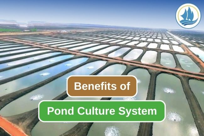 9 Advantages of Pond as a Fish Culture Systems 